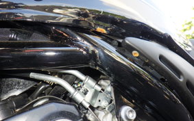 KAWASAKI Z900RS 2021 ZR900C
