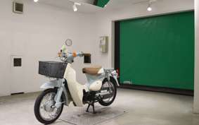 HONDA LITTLE CUB E 2000 AA01