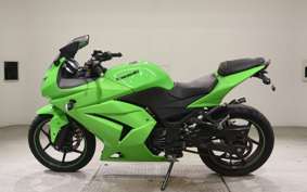 KAWASAKI NINJA 250R 2019 EX250K
