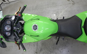 KAWASAKI NINJA 250R 2019 EX250K