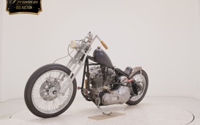 OTHER UNREGISTERED MODEL by BDS1330 2022