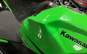 KAWASAKI NINJA 250 KRT ED EX250P