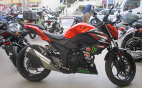 KAWASAKI Z250 ER250C