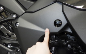 KAWASAKI NINJA 1100SX 2026 ZXT10H