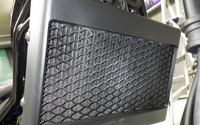 HONDA REBEL 250 MC49