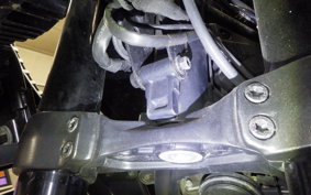 OTHER +HD. ﾊﾟﾝ AMERICA1250S 2022