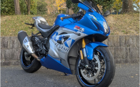 SUZUKI GSX-R1000R ABS 2019 DM11G