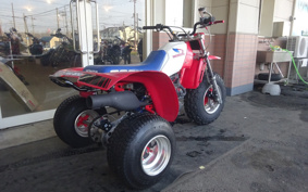 HONDA ATC200 X TB05