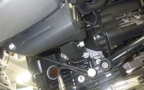 BMW R NINE T SCRAMBLER 2021