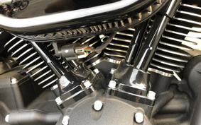 HARLEY FXBBS 2021 YYK