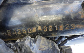 KAWASAKI 250TR BJ250F