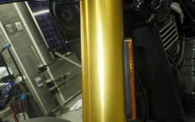 TRIUMPH SPEED400 2024