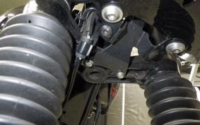 KAWASAKI W800 CAFE 2021 EJ800B