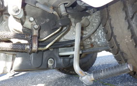 HONDA GYRO CANOPY 2023 TA02