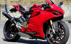 DUCATI 1199PANIGA-RES 2013 ZDMH802JADB