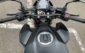 KAWASAKI Z250ABS EX250P