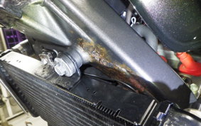 HONDA HORNET 250 2026 MC31