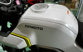 OTHER CFMOTO XO-1 PAPIO