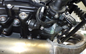 KAWASAKI ELIMINATOR400-3 2025 EL400A