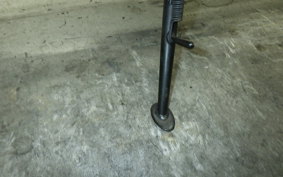 KAWASAKI Z900RS 2021 ZR900C