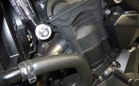 TRIUMPH STREET TRIPLE RS 2025