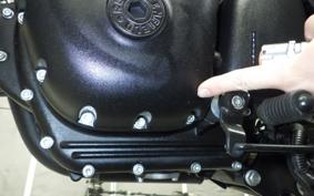 OTHER +ENFIELD HUNTER350 2025