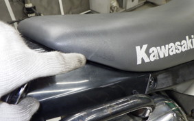 KAWASAKI SUPER SHERPA KL250G