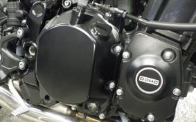 KAWASAKI Z900RS 2022 ZR900C