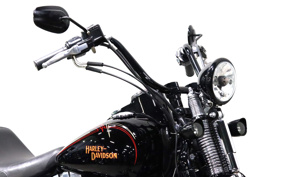 HARLEY FLSTSB 2010 JM5