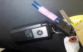 YAMAHA T-MAX 560 T 2023 SJ19J