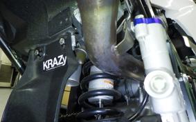 YAMAHA WR250X 2021 DG15J