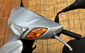 YAMAHA AKUSHI STREET SE53J
