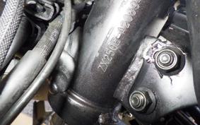 KAWASAKI ZX-25R ZX250E