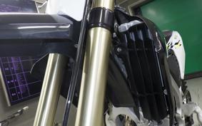 TRIUMPH TF250-X