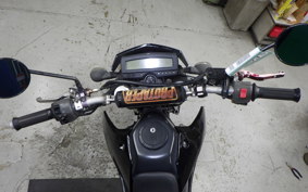 KAWASAKI KLX250D TRACKER X LX250V