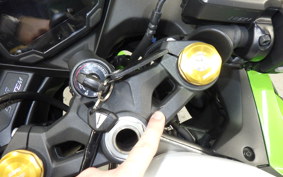 KAWASAKI ZX-4RR 2024 ZX400P