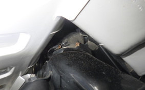 HONDA GYRO X 2006 TD02