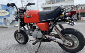 HONDA GORILLA Z50J