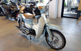 HONDA LITTLE CUB AA01
