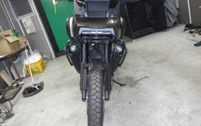 HARLEY PAN AMERICA 1250 2021