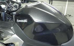 KAWASAKI NINJA 250 2