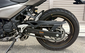 KAWASAKI NINJA 250 EX250P