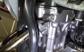 HONDA CRF250L 2024 MD47