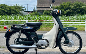 YAMAHA MATE50DX V50