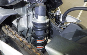 KAWASAKI NINJA 250 2 2021 EX250P