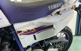 YAMAHA XSR900 2024 RN80J