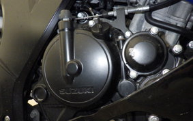 SUZUKI GSX-R125 2013 DL33B