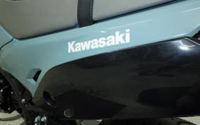 KAWASAKI KLX230SM LX232A