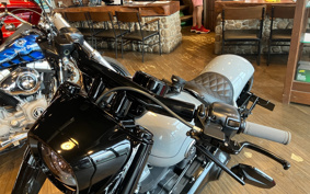 HARLEY FLFB 2025 YF9