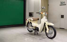 HONDA LITTLE CUB E AA01